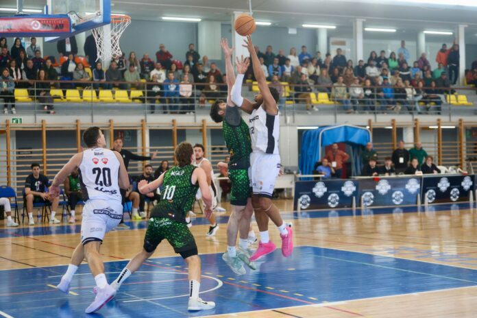 PHOTO-2026-02-08-15-04-48